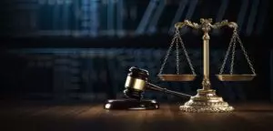 Learn what a securities litigator is and if you need one.