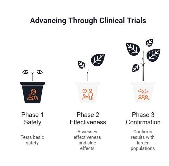 A diagram is shown displaying the process that Clearmind Medicine will have to go through to succeed in getting FDA approval.